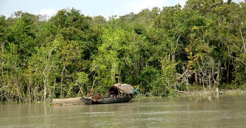 6 ‘poachers’ killed in Sundarbans