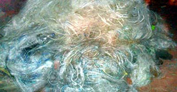 নোয়াখালীতে দুই লাখ মিটার জাল জব্দ