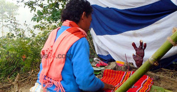 ঠাকুরগাঁওয়ে অদ্ভূত উদ্ভিদকে পূজা করা হচ্ছে 