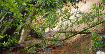 টানা বর্ষণে রাঙামাটিতে পাহাড় ধস ও নিম্নাঞ্চল প্লাবিত