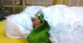 ইনফেকশনের ঝুঁকি এড়াতে গুলিবিদ্ধ শিশুকে আইসিইউতে স্থানান্তর