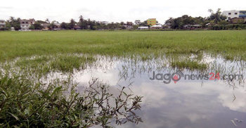 ছয় মাসই পানিতে ডুবে থাকে নওগাঁ স্টেডিয়াম