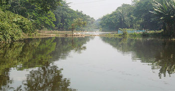 প্রভাবশালীদের দখলে শার্শার বেতনা নদী