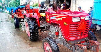 ‘কাঁকড়া’ আতঙ্কে গাইবান্ধাবাসী!