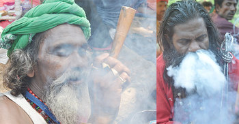 বগুড়ার মহাস্থানগড়ে গাঁজা উৎসব শুরু