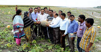 একন ২০ হাজার ট্যাকার কুমড়া বেচমো