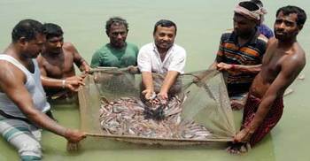 শূন্য থেকে কোটিপতি