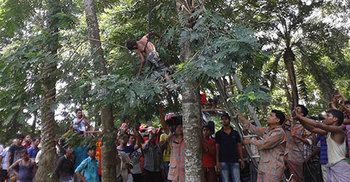 নোয়াখালীতে বিদ্যুৎস্পৃষ্টে স্কুলছাত্রের মৃত্যু