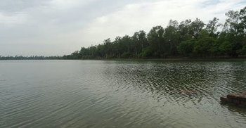 রামসাগর দীঘির মাছ ধরে আ.লীগ নেতাদের পিকনিক!