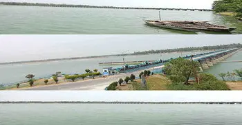 তিস্তা ৭ হাজার কিউসেক পানি : বরি শষ্যের ব্যাপক ক্ষতি