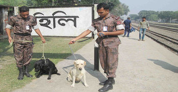 হিলি সীমান্তে বিজিবির গুলিতে ভারতীয় চোরাকারবারী নিহত