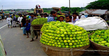 কাকরোলের গ্রামে চাষিদের দুর্ভোগ