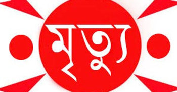 মাদারীপুরে স্বামীর নির্যাতনে অন্তসত্ত্বার মৃত্যু