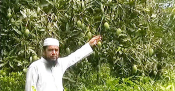 শখের বসে বাগান করে লাভবান হচ্ছেন ফরিদ আহমেদ