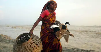 তিস্তার পানি বিপদসীমার ৪২ সেন্টিমিটার উপরে