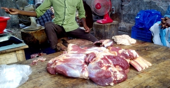 সীমান্ত দিয়ে অবাধে ঢুকছে ভারতীয় গরুর মাংস