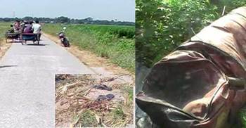 নাটোরে পৃথক দুর্ঘটনায় নিহত ২