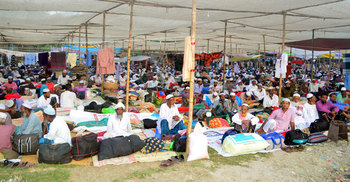 বৃহস্পতিবার ধুনটে ৩ দিনের ইজতেমা শুরু