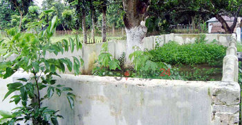 অবহেলায় পড়ে আছে ঝিনাইদহের গণকবরগুলো