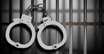 9 held, huge pirated CDs seized 