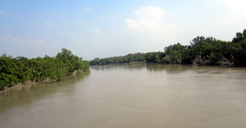 সুন্দরবন থেকে দ্বিগুন রাজস্ব আদায় সম্ভব