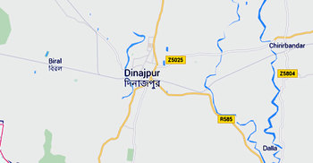 4 killed as truck falls into ditch