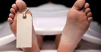 Varsity’s student body recovered in Jessore 