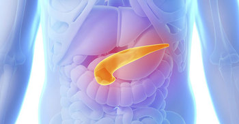 Diabetes drug slows down growth of pancreatic cancer 
