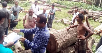 সরকারি গাছ কর্তন : ৩ মাসেও নেই কোনো ব্যবস্থা