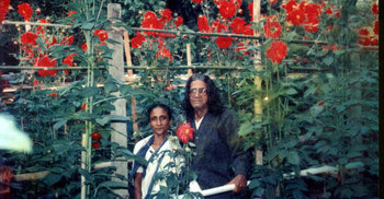 অন্ধ হয়ে গেছেন চিত্রশিল্পী সুলতানের পালিত কন্যা