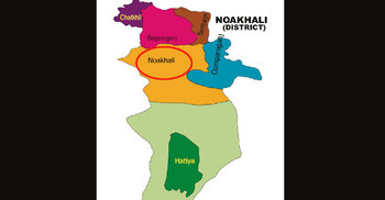 Mother, son stabbed dead in Noakhali