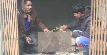 Dacoit leader killed in mass beating in Meherpur 