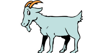 পূর্ব শত্রুতার বলি দুই ছাগল