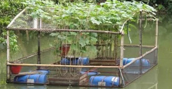 Bangladesh’s farming system get global recognition