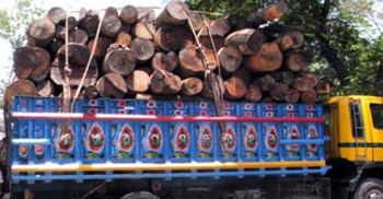 শার্শা উপজেলা বনকর্তার বিরুদ্ধে ঘুষ বাণিজ্যের অভিযোগ