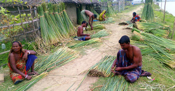 হারিয়ে যাচ্ছে ঐতিহ্যবাহী মাদুর শিল্প