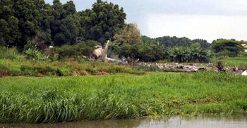 দক্ষিণ সুদানে বিমান বিধ্বস্ত : নিহত ৪১