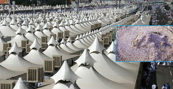 ৮ ও ৯ই জিলহজে হাজিদের করণীয়