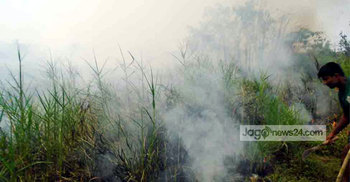 নেভেনি সুন্দরবনের আগুন : তদন্ত কমিটি গঠন