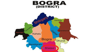 Huge arms, ammo recovered in Bogra