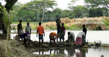 আদালতের নিষেধাজ্ঞা অমান্য করে নদীতে বাঁধ নির্মাণ
