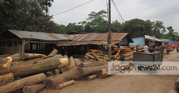 মিলের গাছ দিয়ে রাস্তা দখল, যান চলাচল বিঘ্নিত