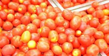 Scientists investigating sperm-boosting nutrient