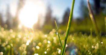Morning routines of 8 world leaders