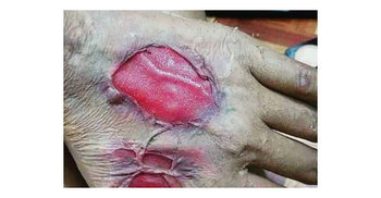 Special effects school aims to mould film industry 