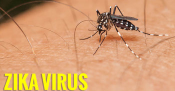 Zika virus detected in Bangladesh: State Minister
