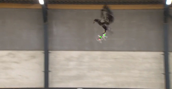 Police `ponder eagles to tackle drones`