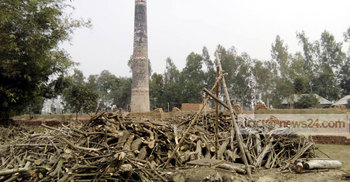 নওগাঁর ইটভাটাগুলোতে অবাধে পোড়ানো হচ্ছে কাঠ