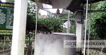 পাতকুয়ার পানি সেচে সবজি চাষে সাফল্য