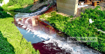 শীতলক্ষ্যা ও বালুর দূষিত পানি যাচ্ছে রাজধানীবাসীর পেটে 